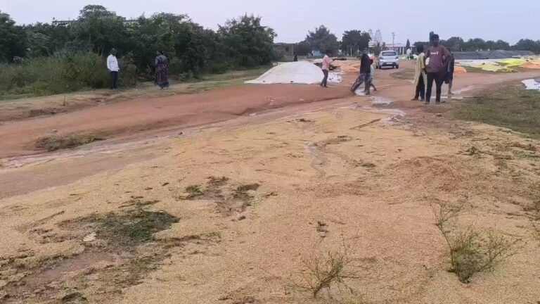 VideoCapture_20251021-193215